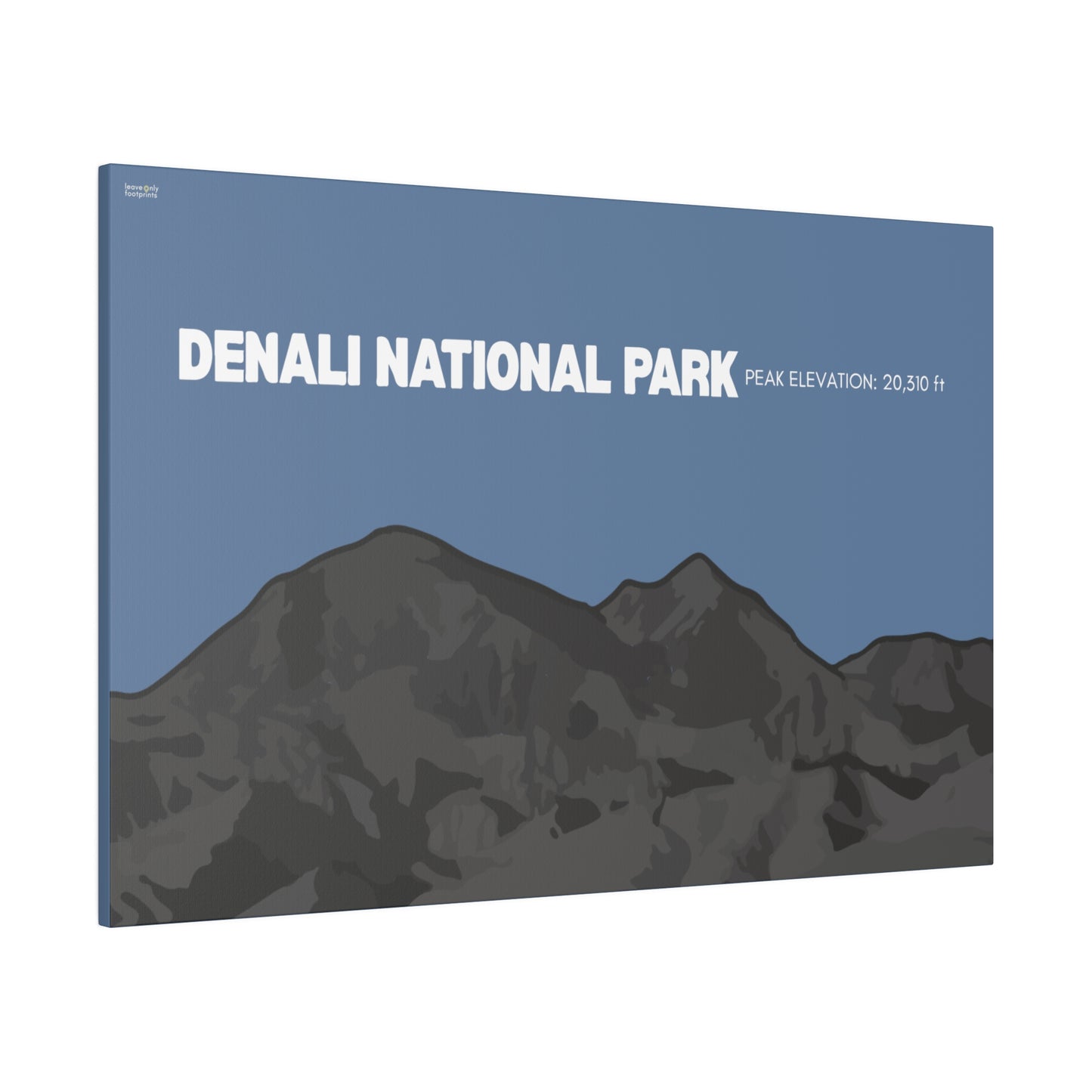 Denali National Park Matte Canvas, Stretched, 0.75"