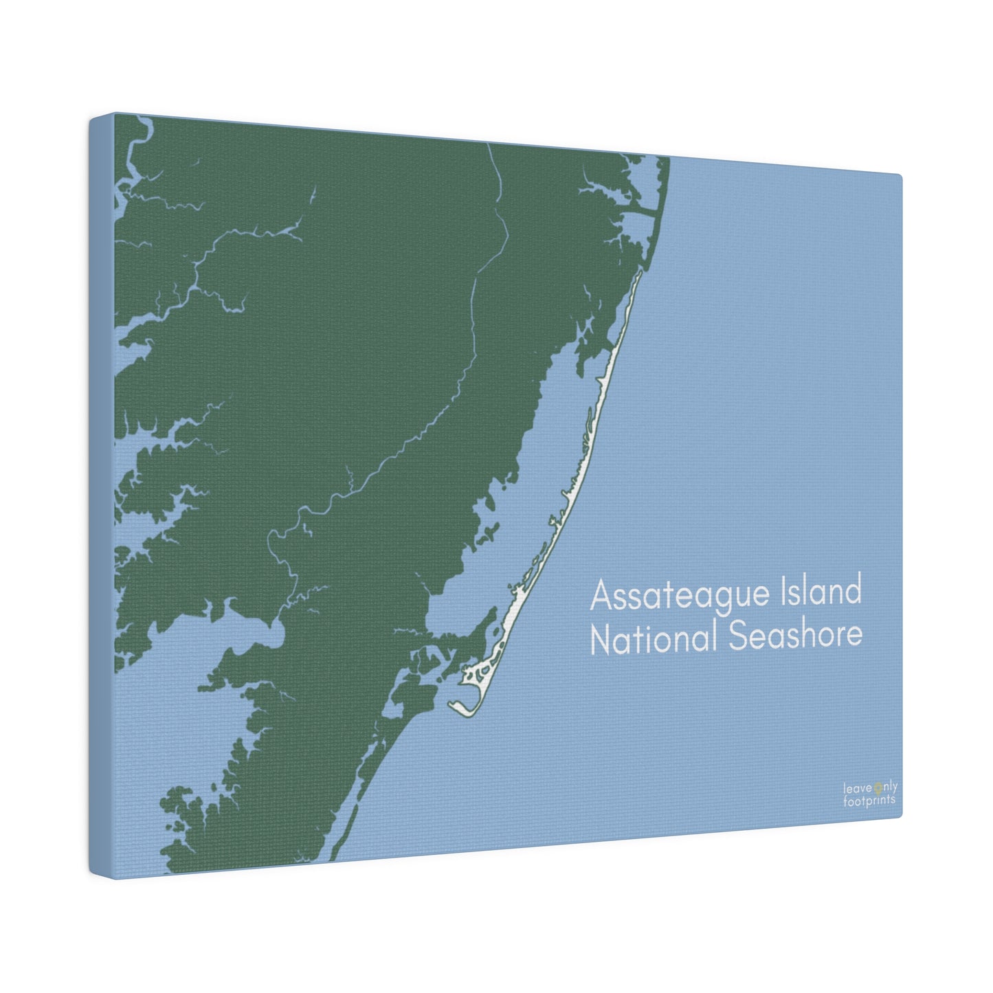 Assateague Island National Seashore Matte Canvas, Stretched, 0.75"
