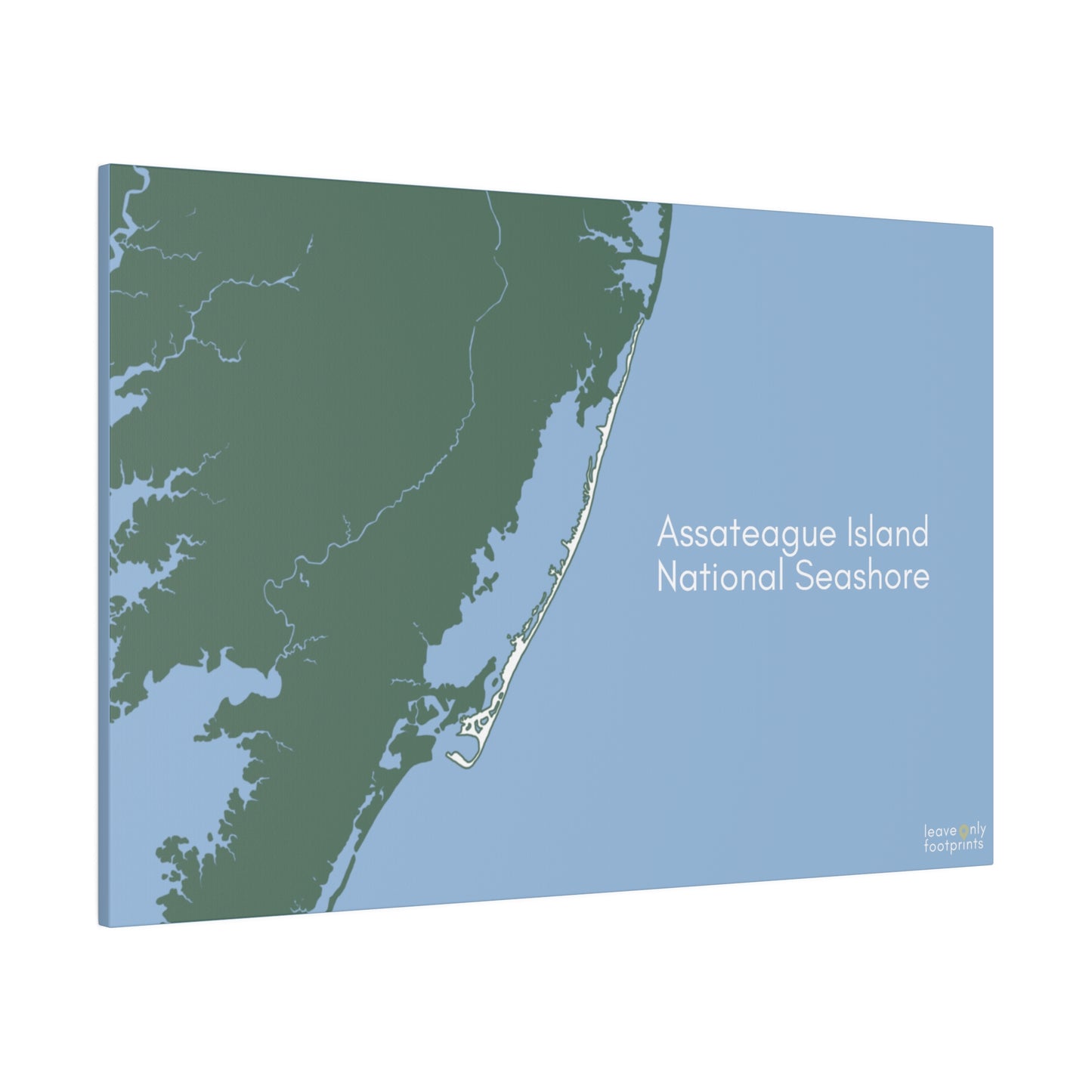 Assateague Island National Seashore Matte Canvas, Stretched, 0.75"