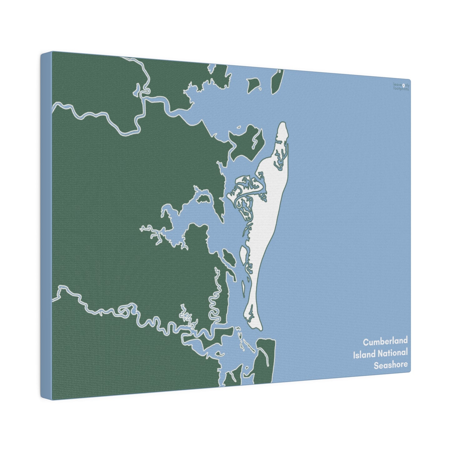 Cumberland Island National Seashore Matte Canvas, Stretched, 0.75"