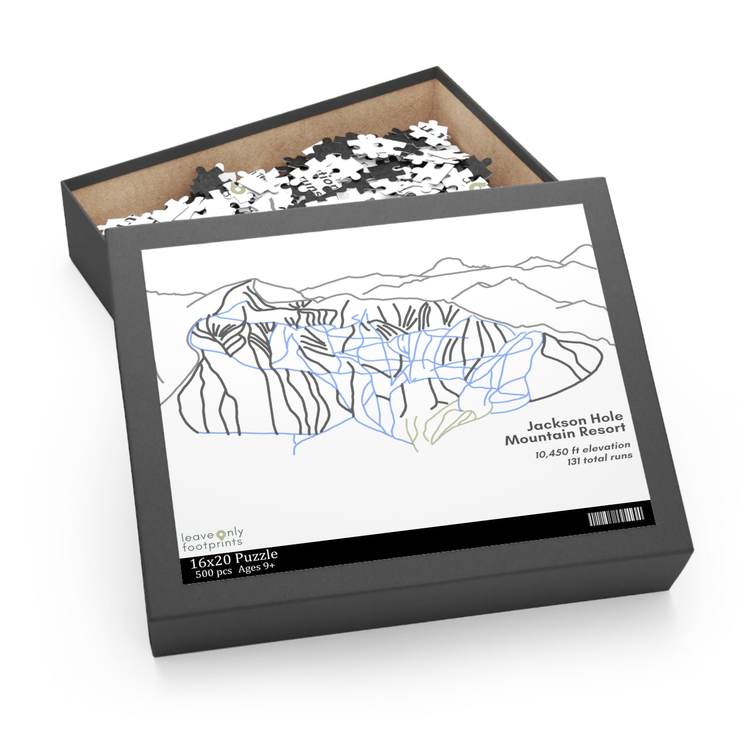 Jackson Hole Mountain Resort Puzzle (252, 500-Piece)