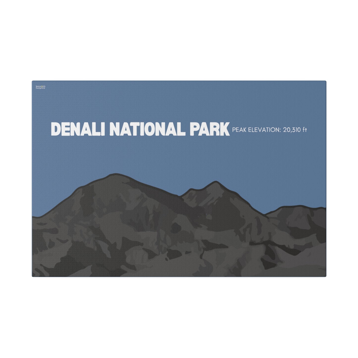 Denali National Park Matte Canvas, Stretched, 0.75"