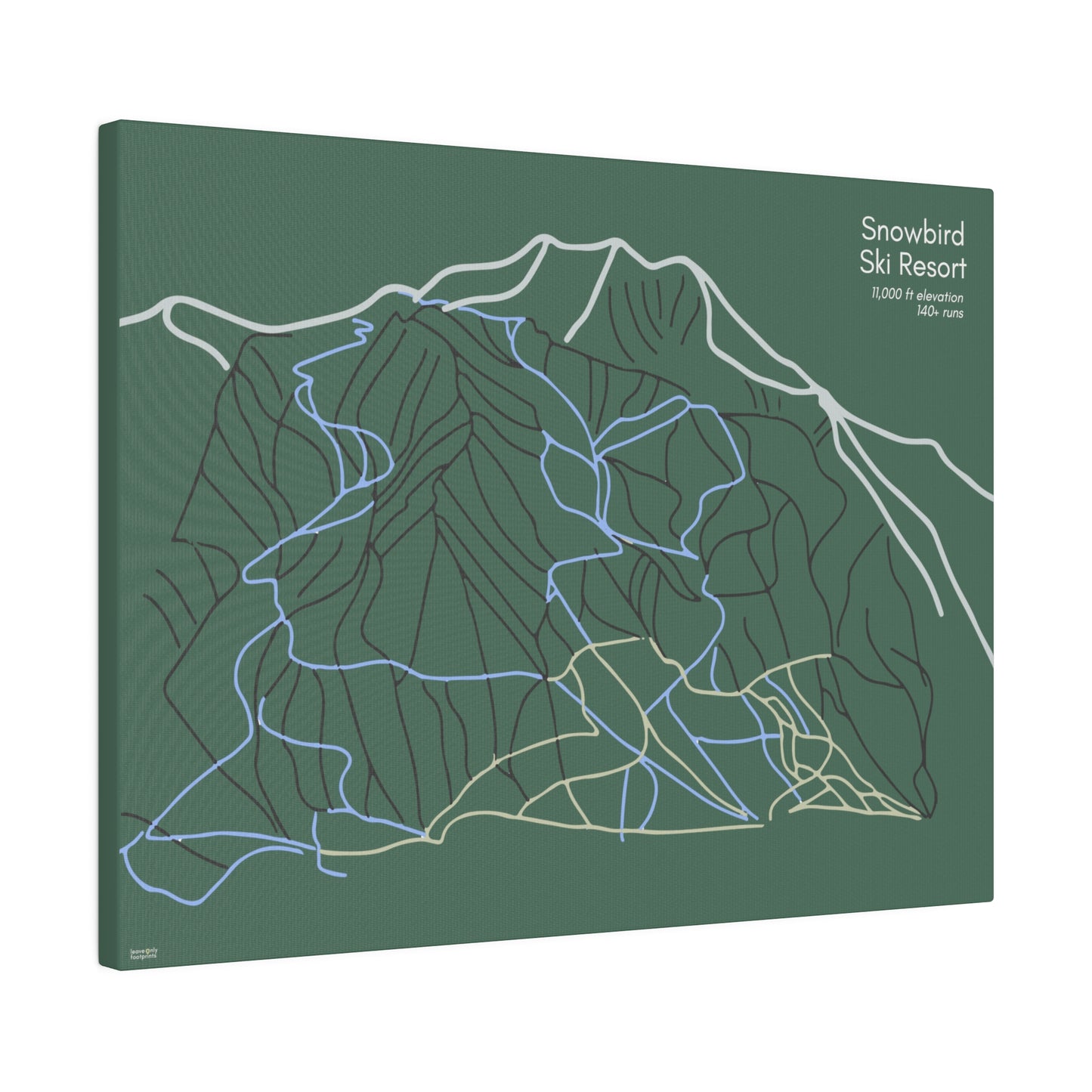 Snowbird Ski Resort Matte Canvas, Stretched, 0.75"
