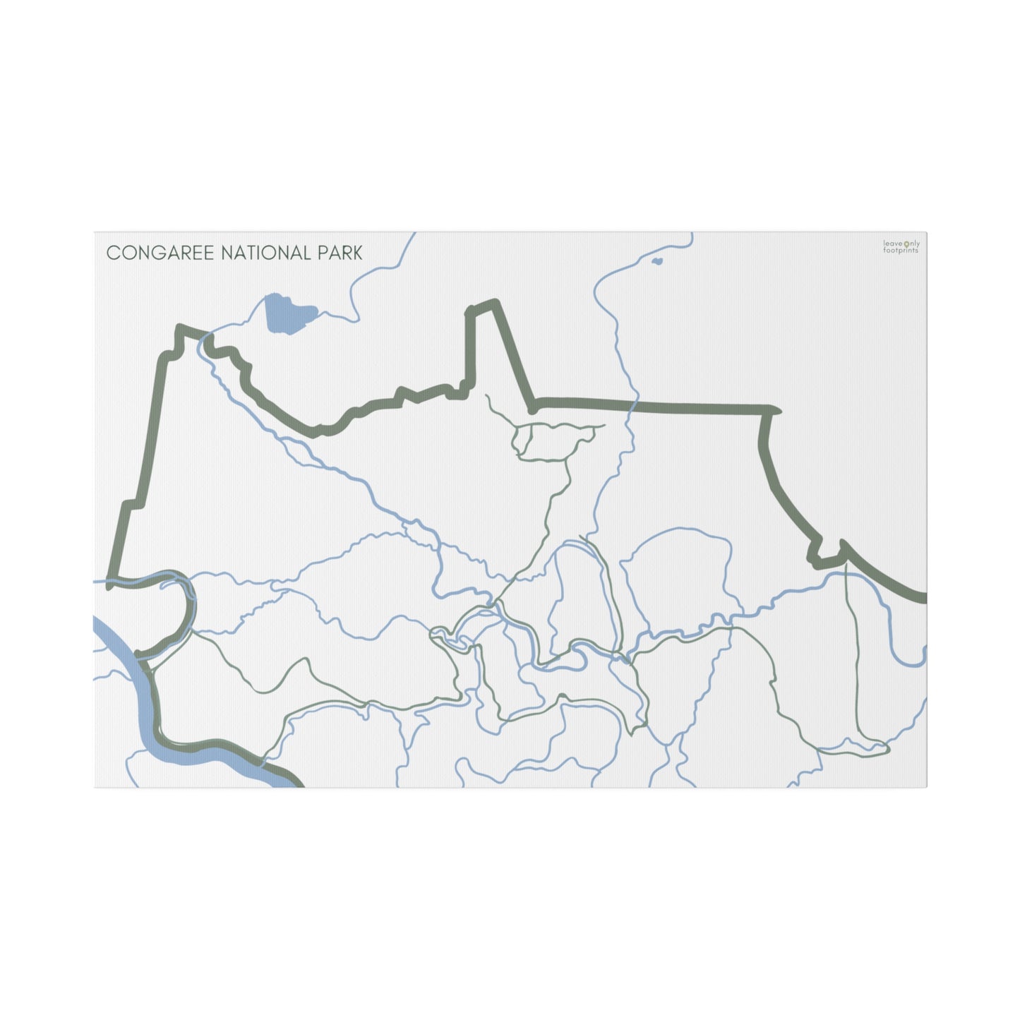 Congaree National Park Matte Canvas, Stretched, 0.75"