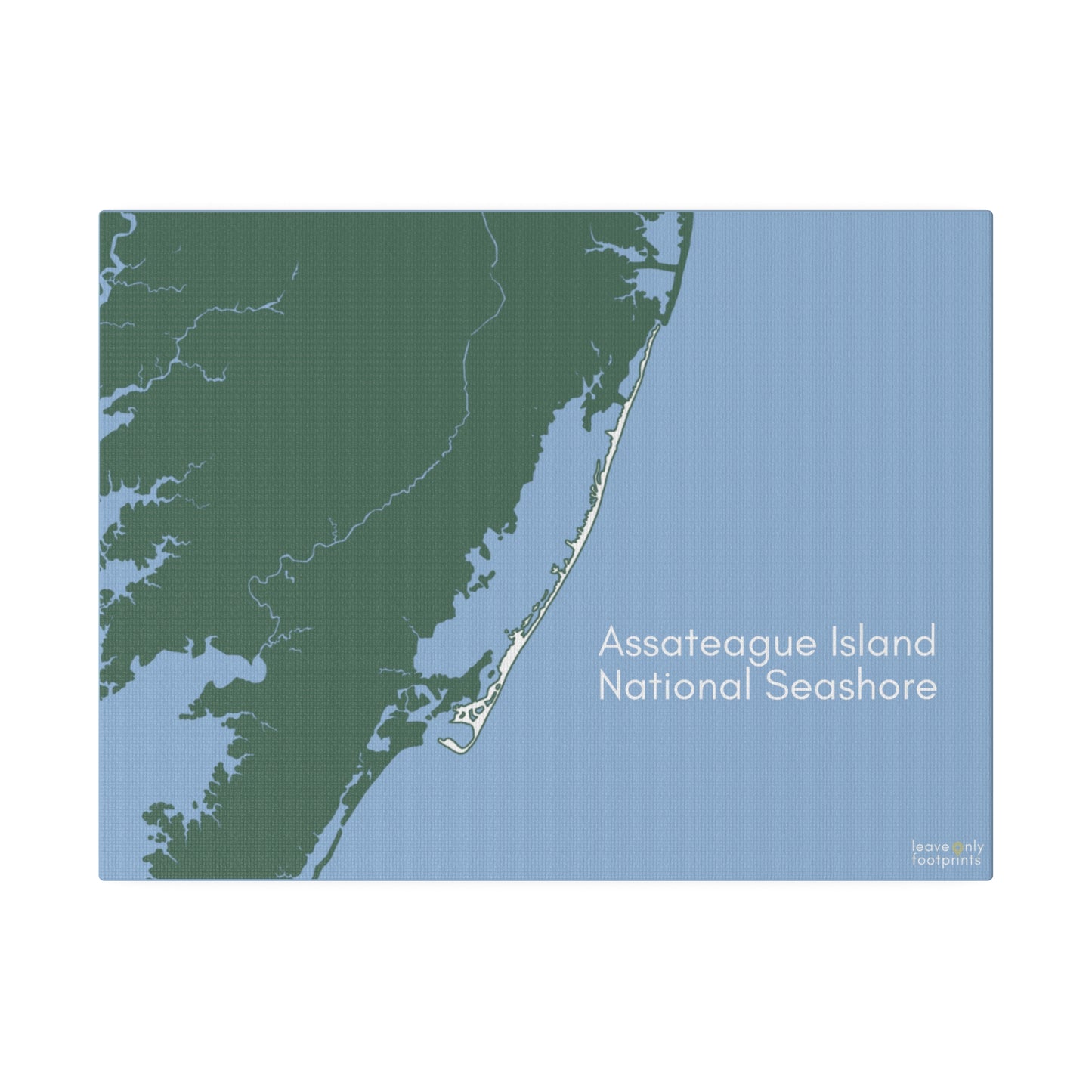 Assateague Island National Seashore Matte Canvas, Stretched, 0.75"