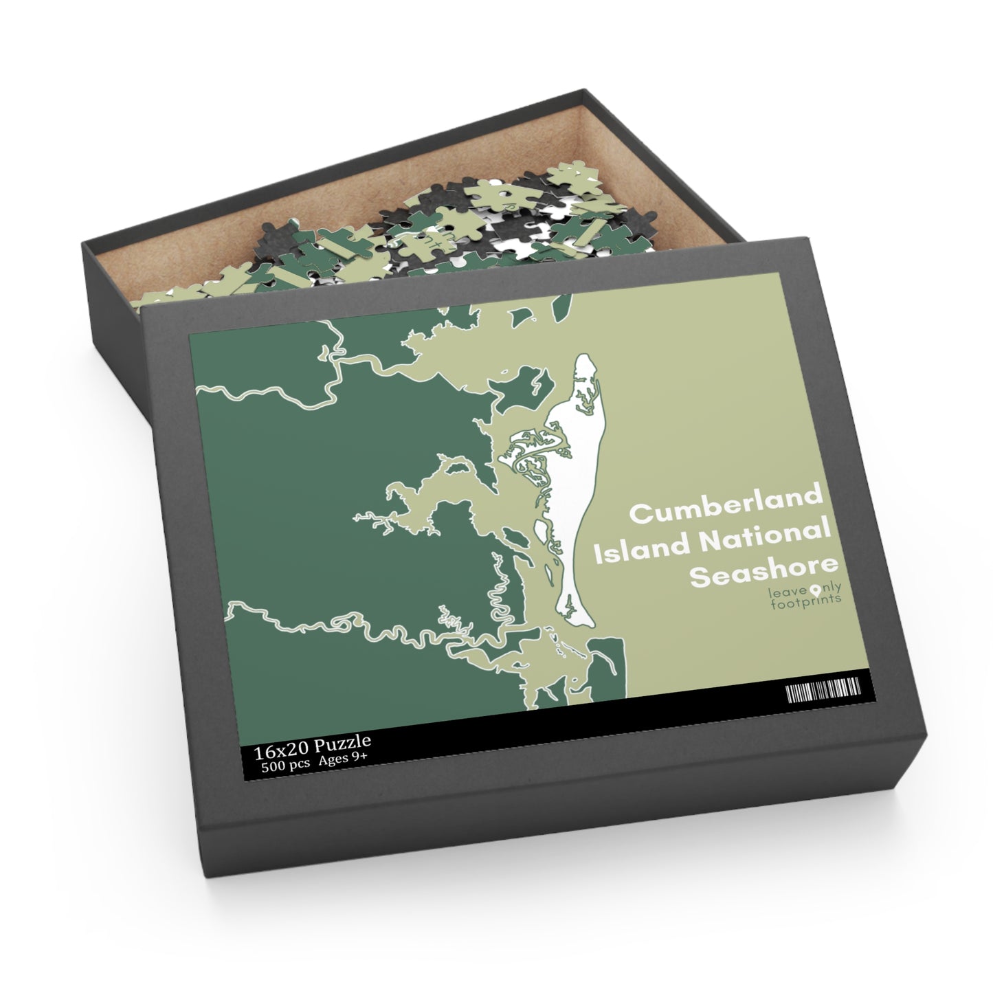 Cumberland Island National Seashore Puzzle (252, 500-Piece)