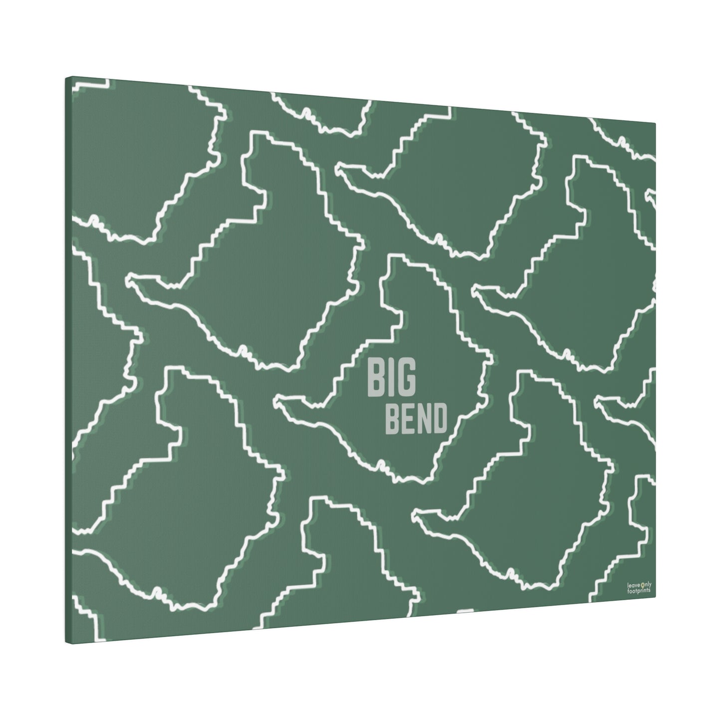 Big Bend National Park Matte Canvas, Stretched, 0.75"