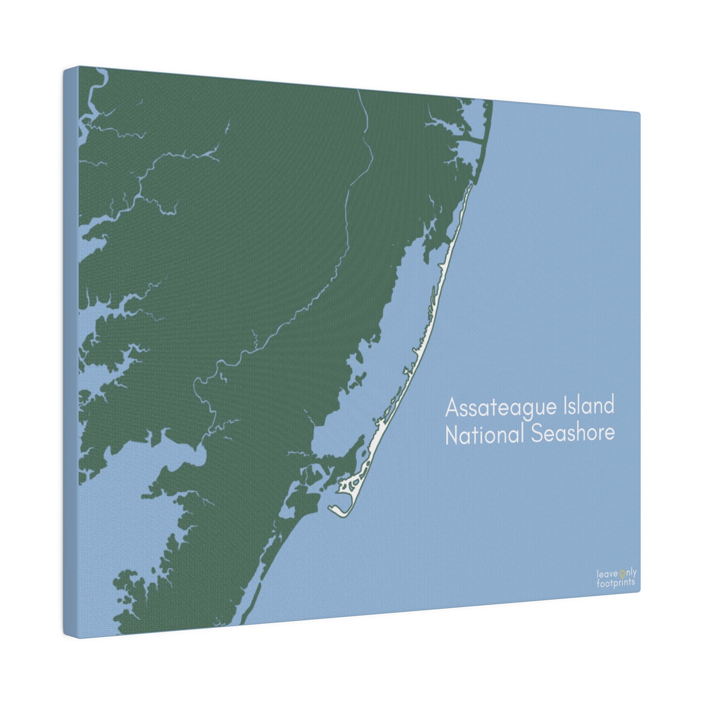 Assateague Island National Seashore Matte Canvas, Stretched, 0.75"