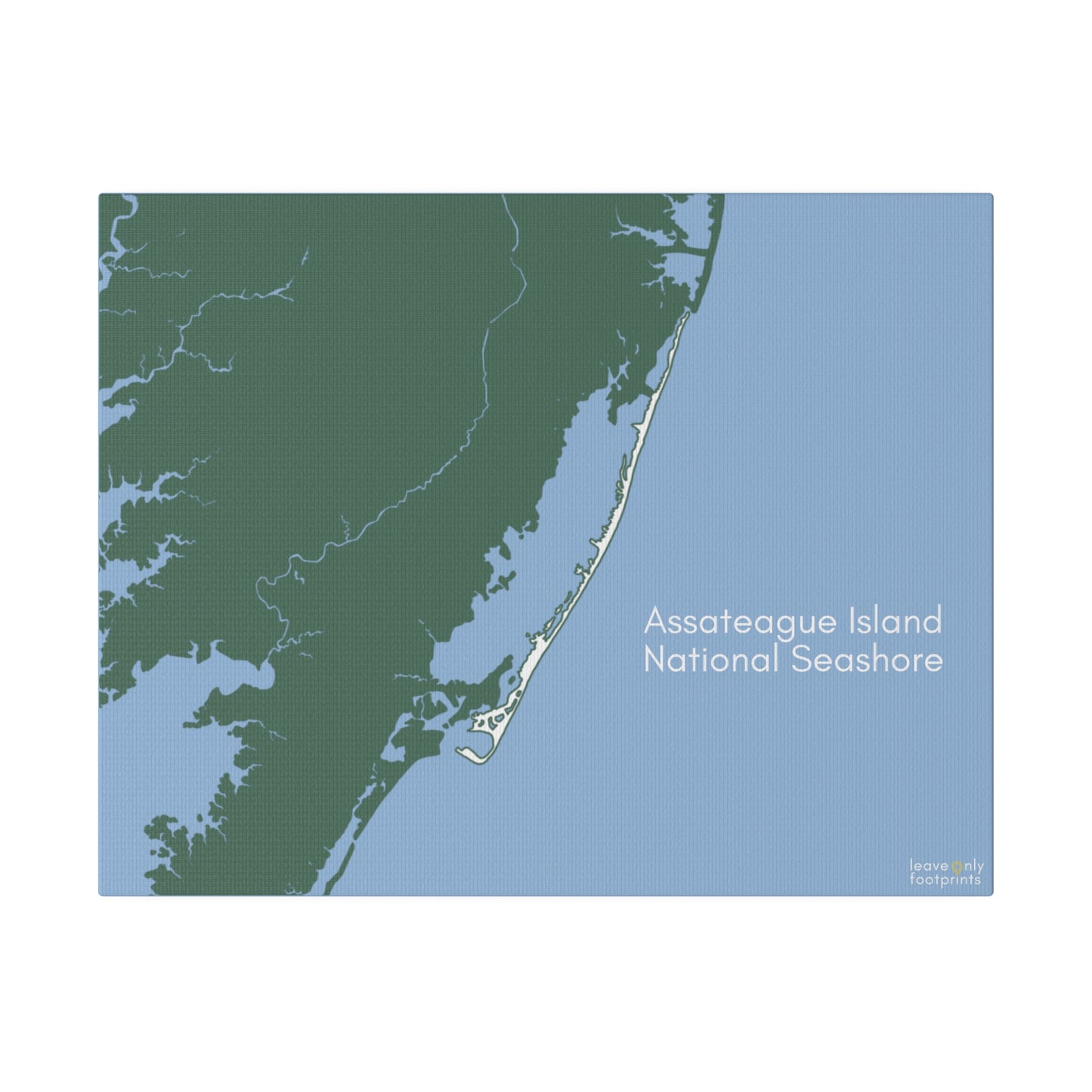 Assateague Island National Seashore Matte Canvas, Stretched, 0.75"