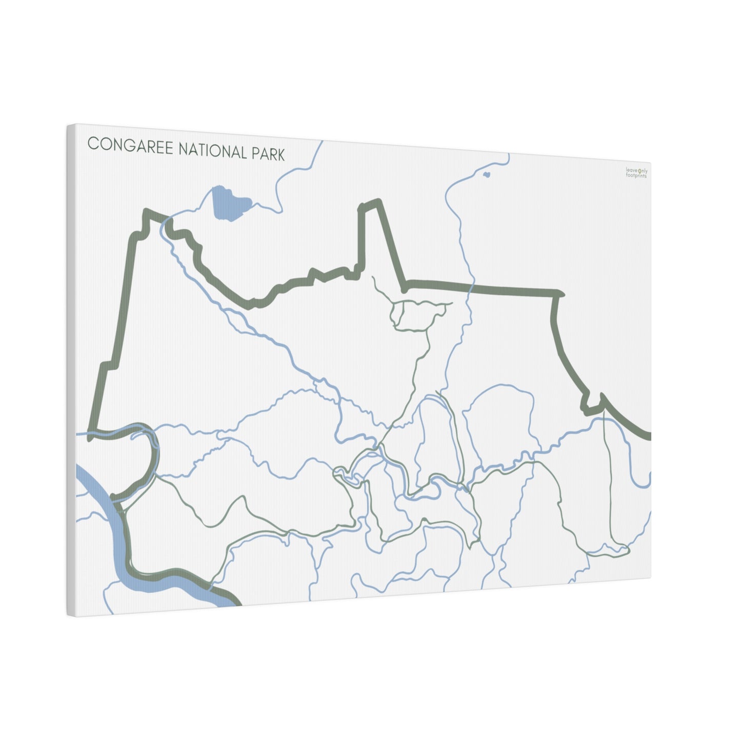 Congaree National Park Matte Canvas, Stretched, 0.75"
