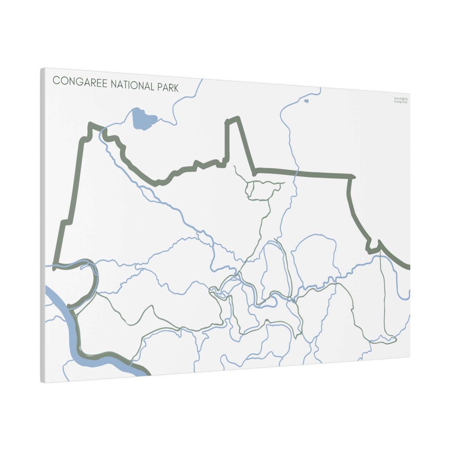 Congaree National Park Matte Canvas, Stretched, 0.75"