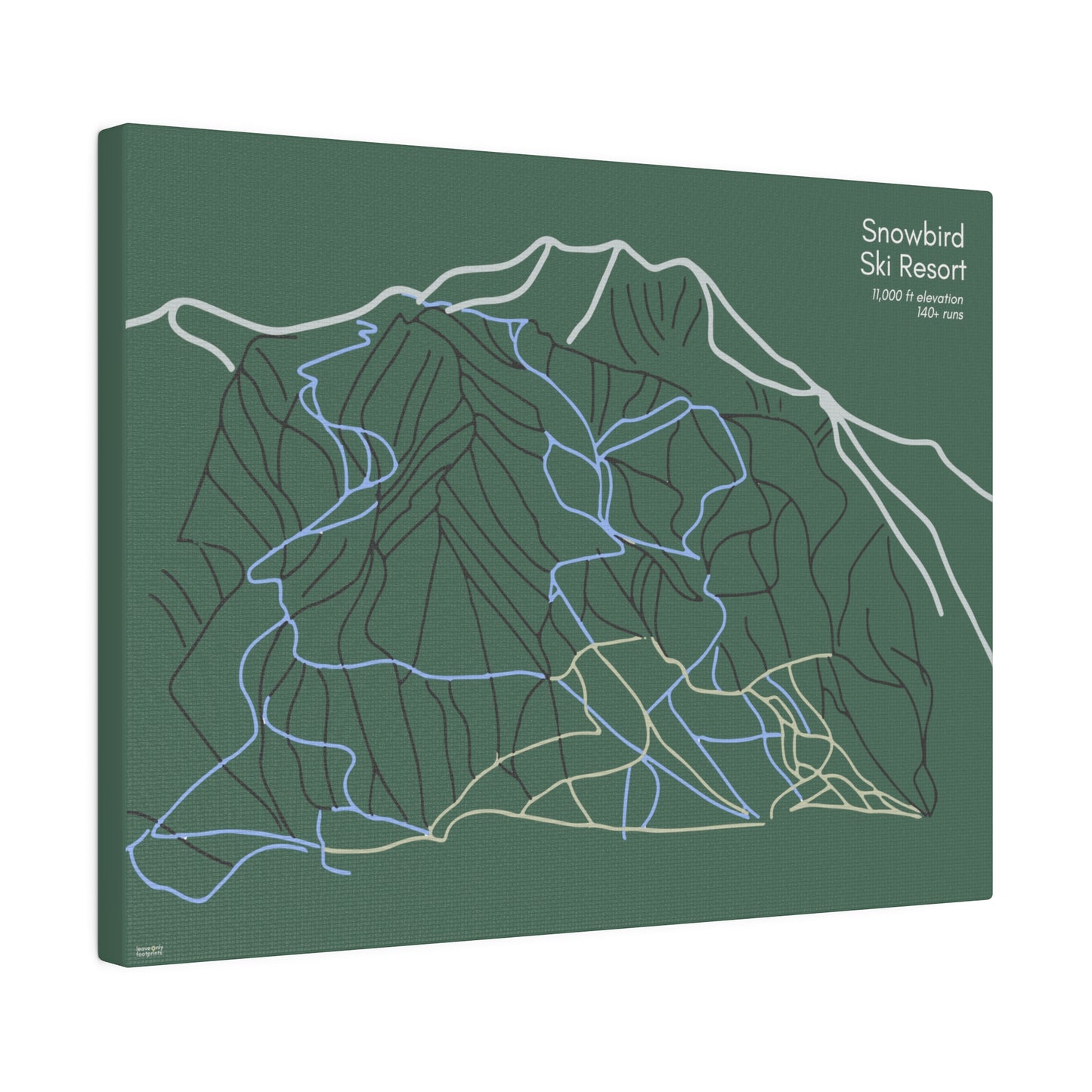 Snowbird Ski Resort Matte Canvas, Stretched, 0.75"