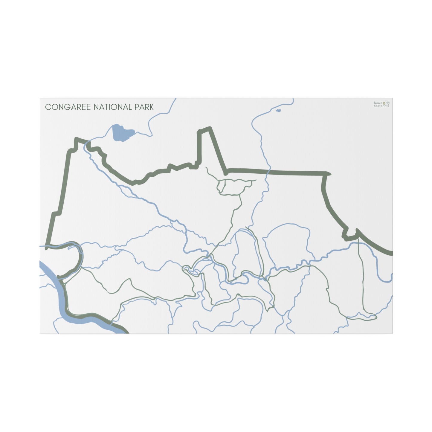 Congaree National Park Matte Canvas, Stretched, 0.75"