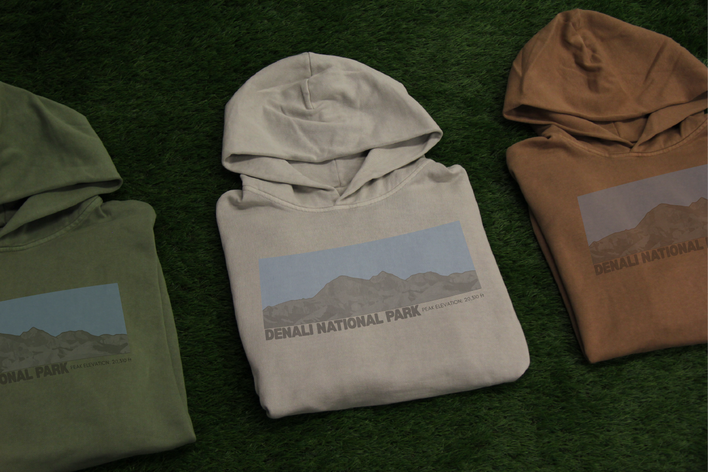 Denali National Park Hoodie