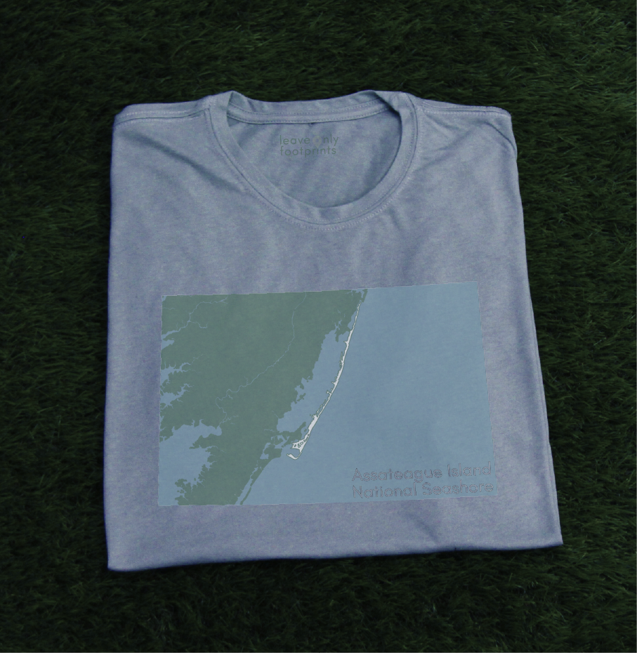 Assateague Island National Seashore T-Shirt