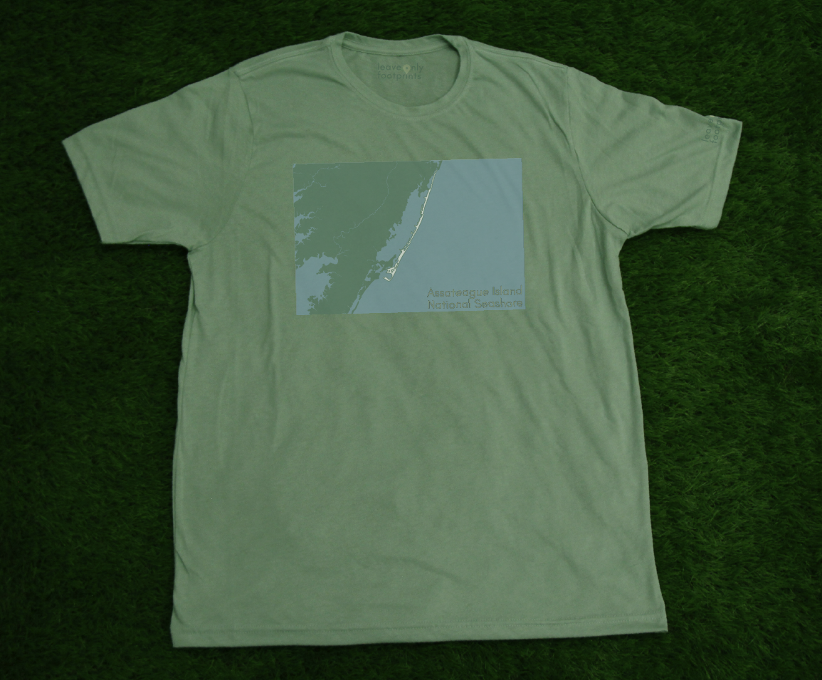 Assateague Island National Seashore T-Shirt