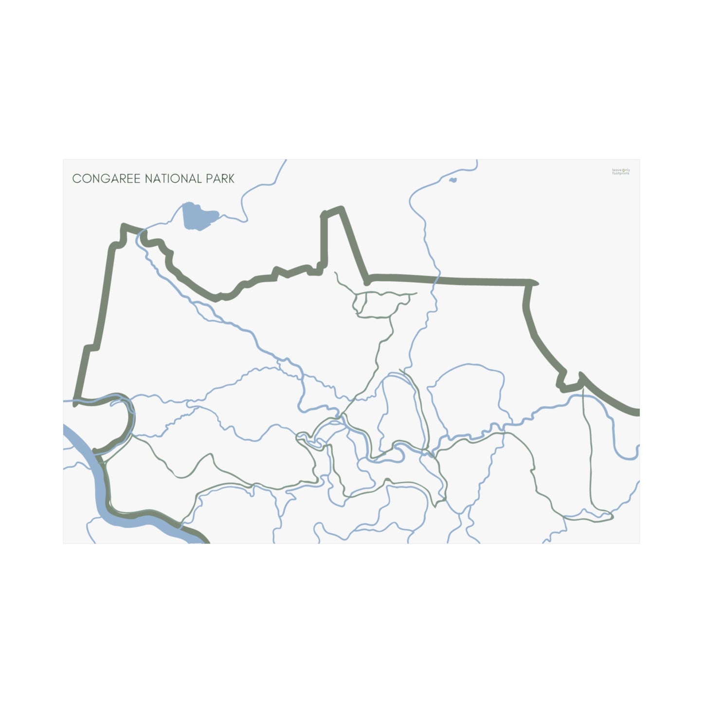 Congaree National Park Horizontal Print