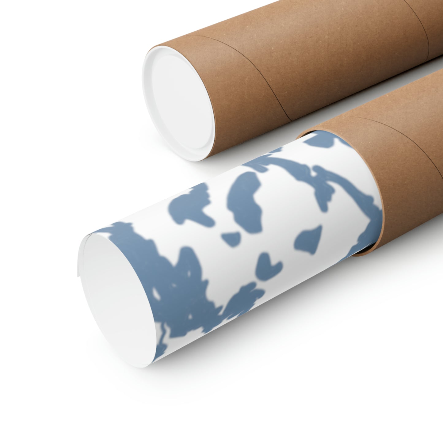 Voyageurs National Park Matte Horizontal Print