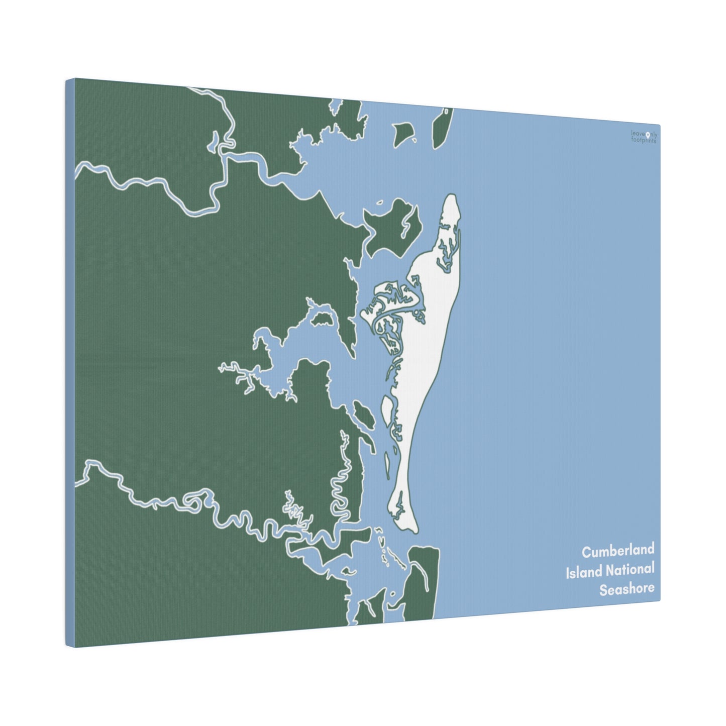 Cumberland Island National Seashore Matte Canvas, Stretched, 0.75"