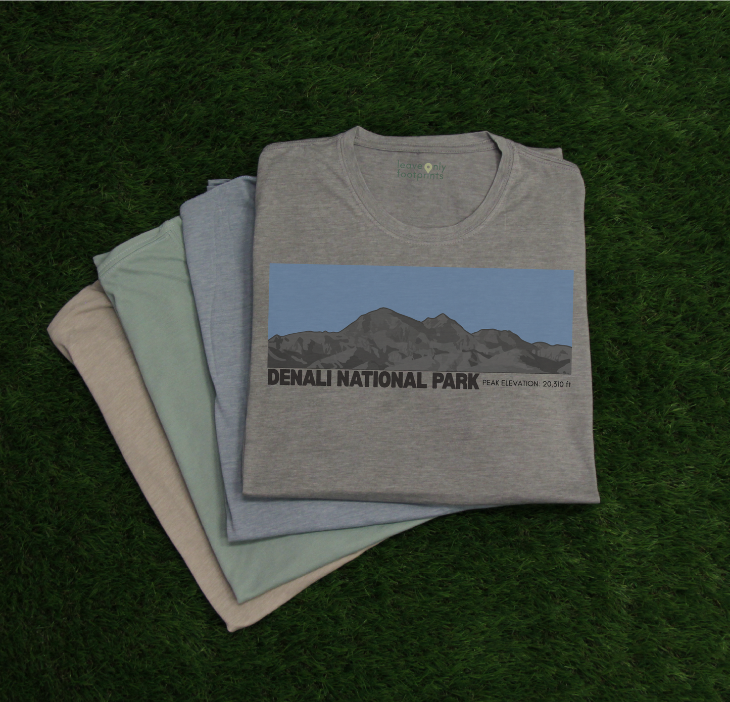 Denali National Park T-Shirt