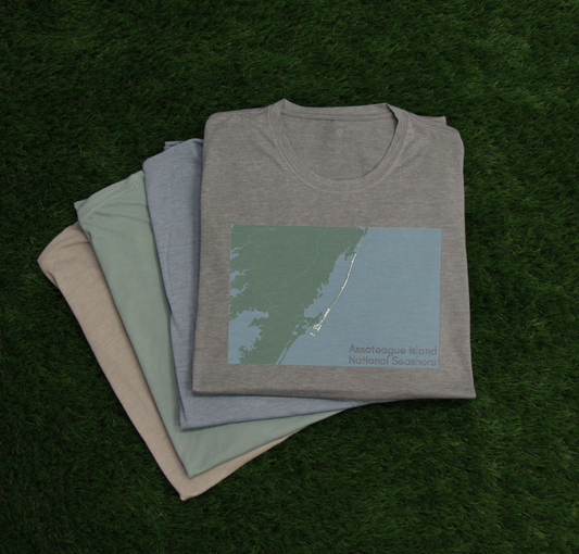 Assateague Island National Seashore T-Shirt